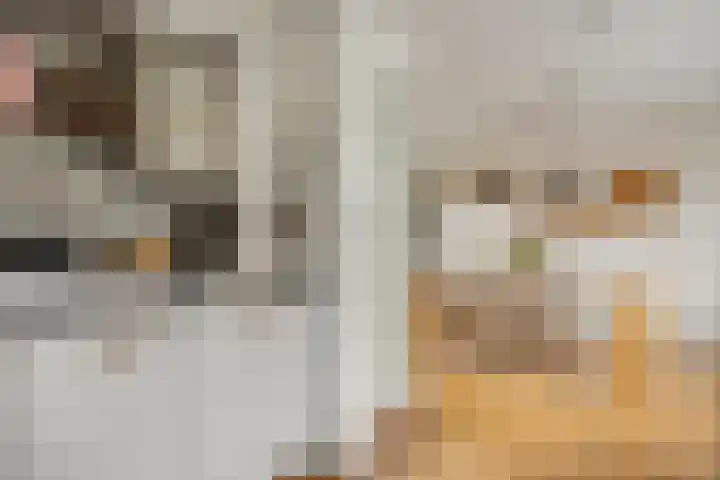 't Slag 1 Bemmel thumbnail 23