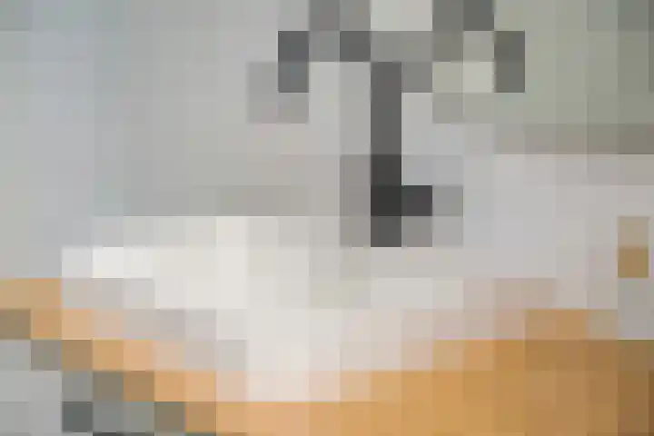 't Slag 1 Bemmel thumbnail 32