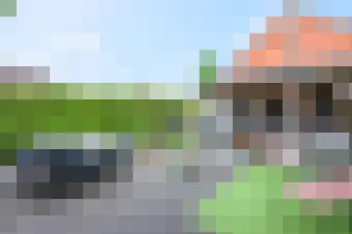 't Slag 1 Bemmel thumbnail 42