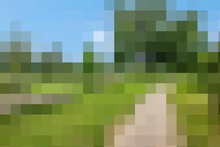 't Slag 1 Bemmel thumbnail 45