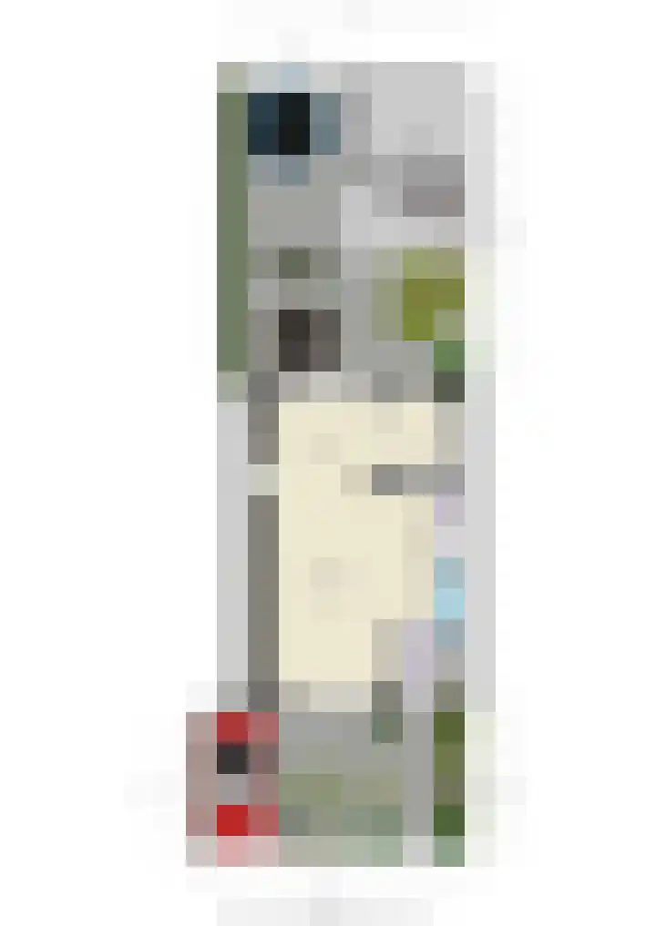 't Slag 1 Bemmel thumbnail 51