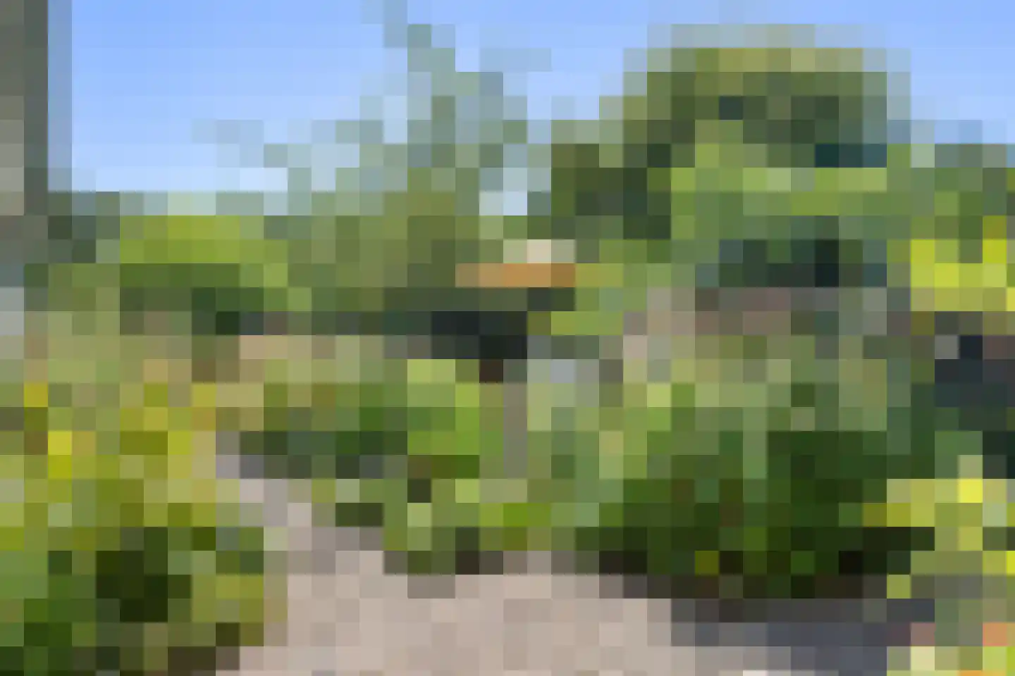 't Slag 13 Westervoort thumbnail 49
