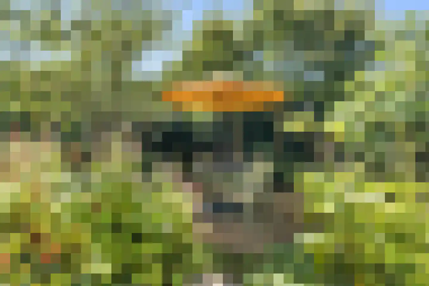 't Slag 13 Westervoort thumbnail 50