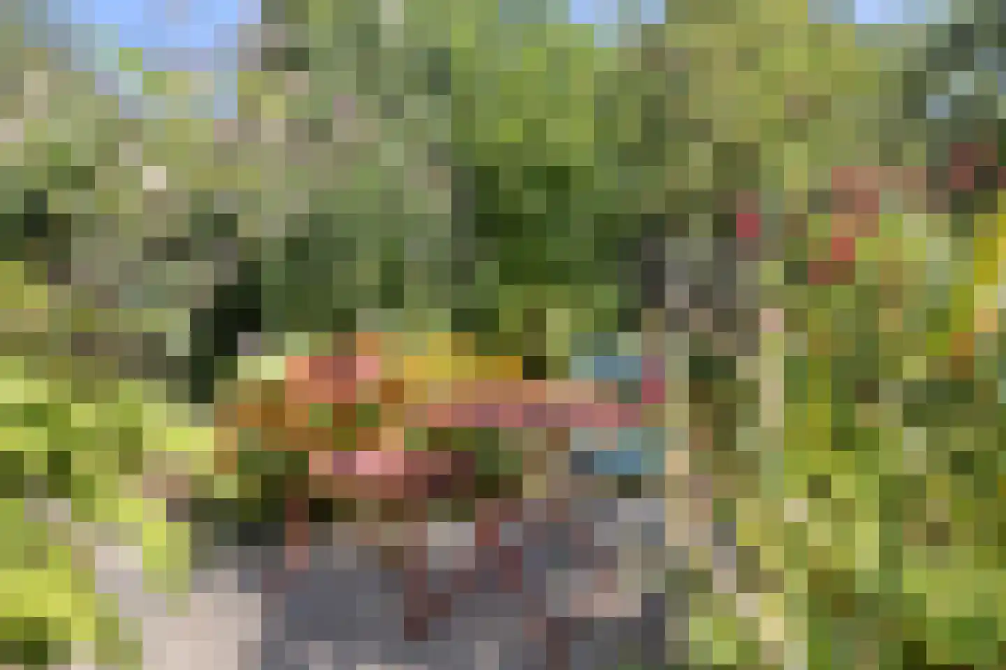't Slag 13 Westervoort thumbnail 51