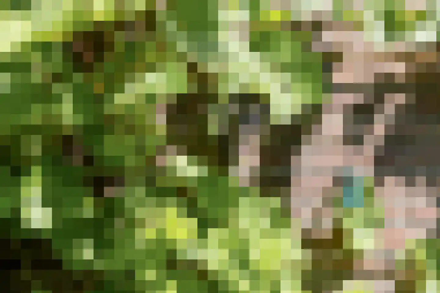 't Slag 13 Westervoort thumbnail 55
