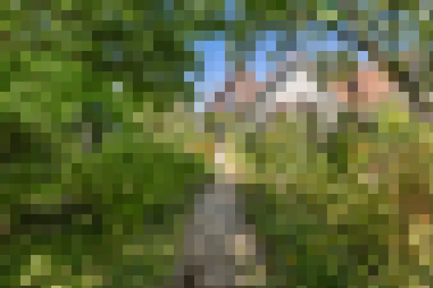 't Slag 13 Westervoort thumbnail 56