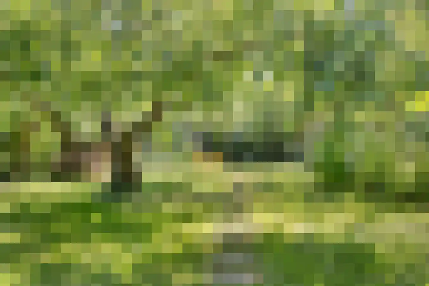 't Slag 13 Westervoort thumbnail 57
