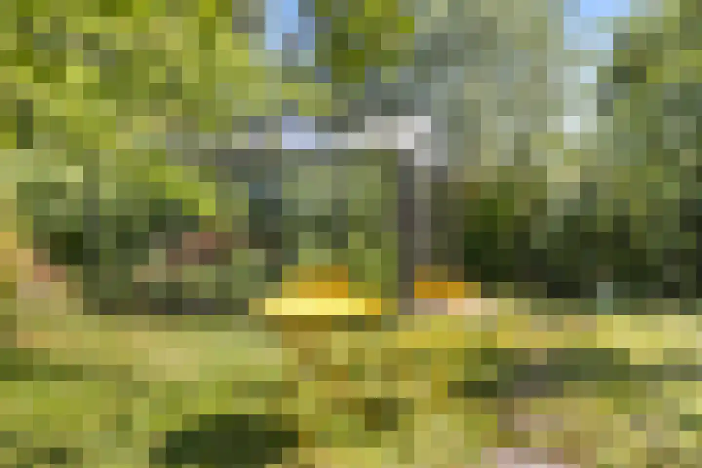 't Slag 13 Westervoort thumbnail 58
