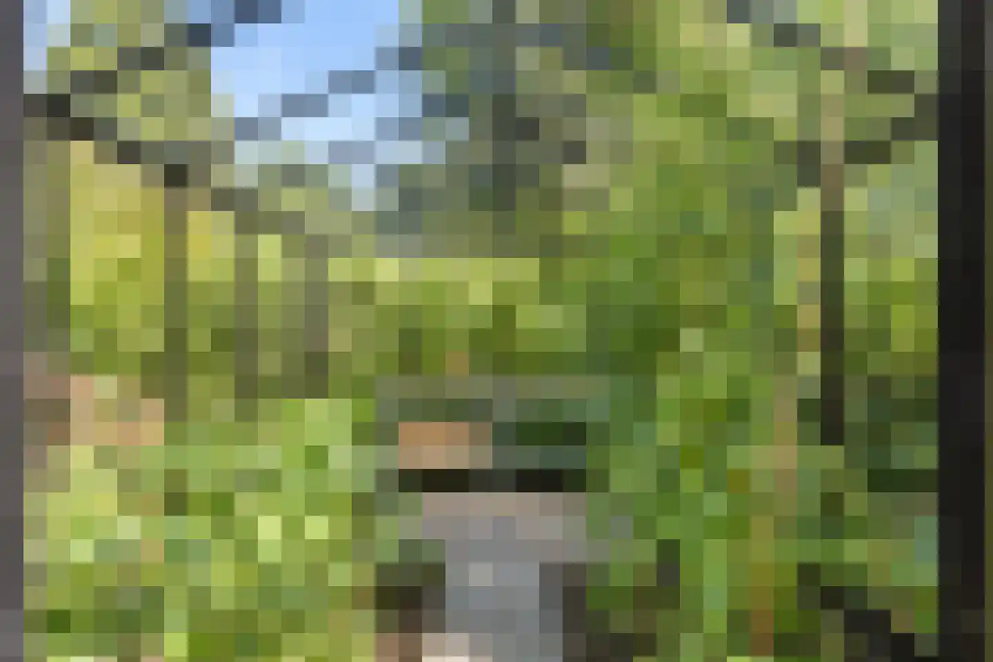 't Slag 13 Westervoort thumbnail 59