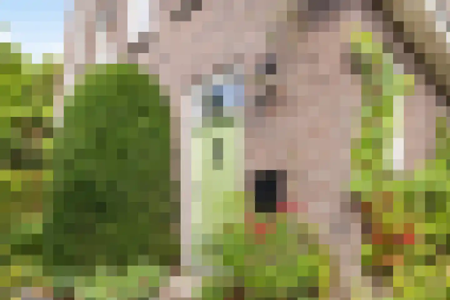 't Slag 13 Westervoort thumbnail 6