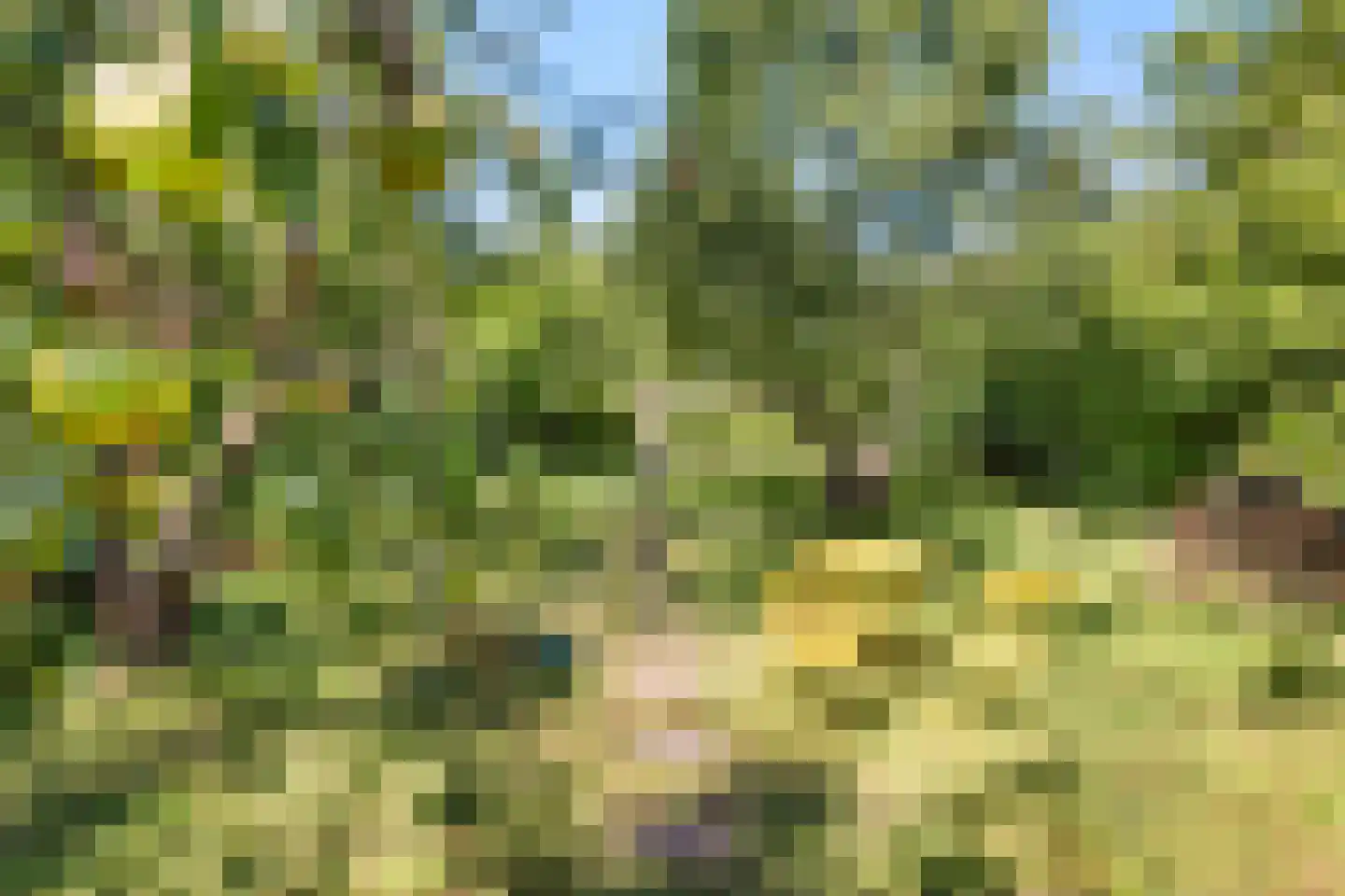 't Slag 13 Westervoort thumbnail 60