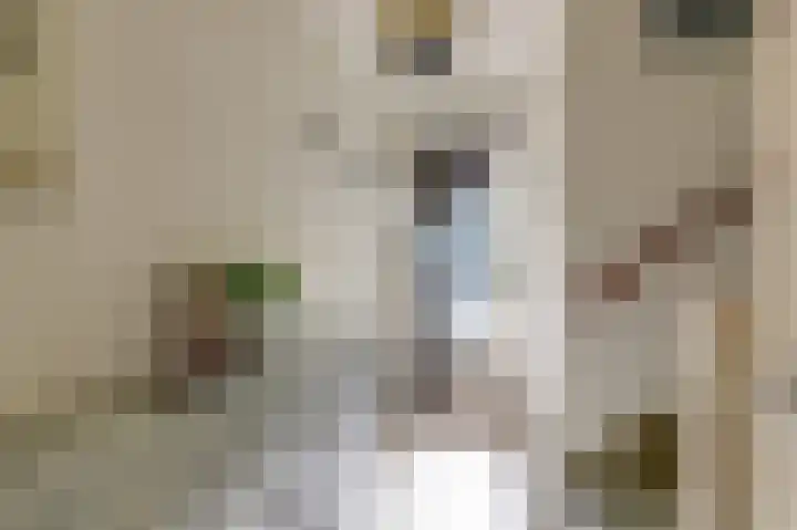 't Slag 18 Westervoort thumbnail 10