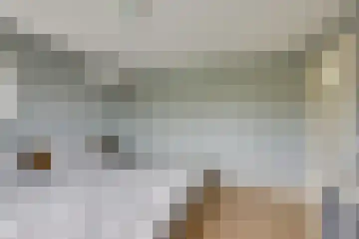 't Slag 18 Westervoort thumbnail 29