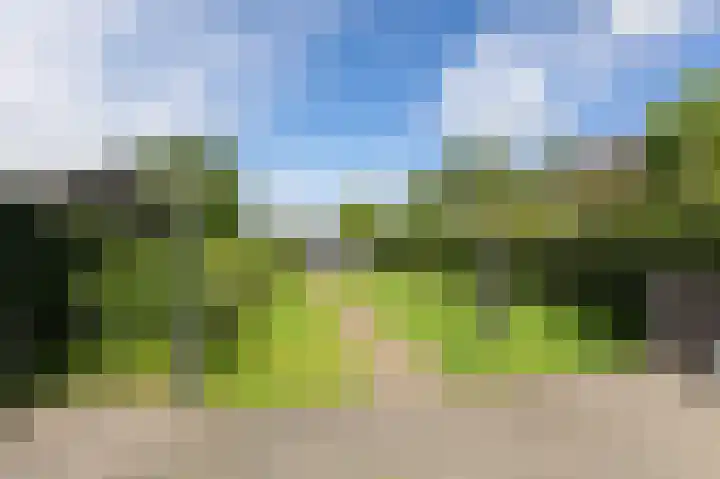 't Slag 18 Westervoort thumbnail 45