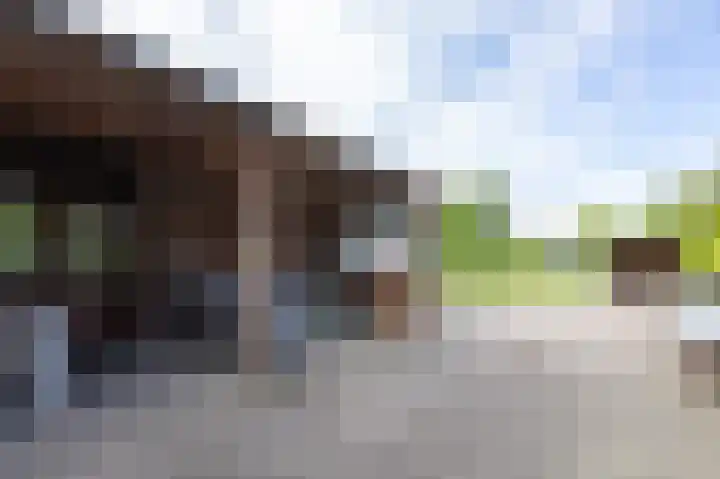 't Slag 18 Westervoort thumbnail 46