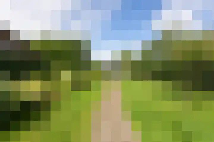 't Slag 18 Westervoort thumbnail 48