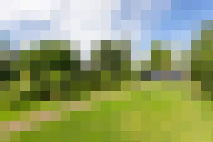 't Slag 18 Westervoort thumbnail 50
