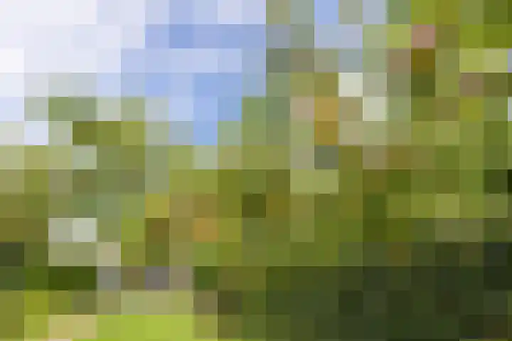 't Slag 18 Westervoort thumbnail 54