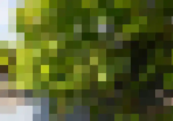 't Slag 18 Westervoort thumbnail 62