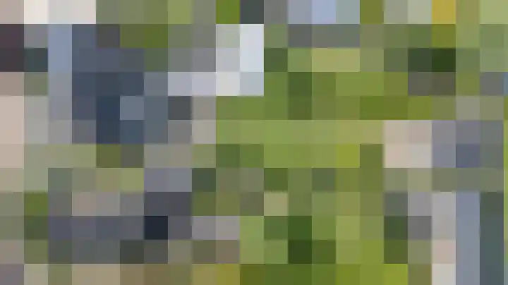 't Slag 18 Westervoort thumbnail 64