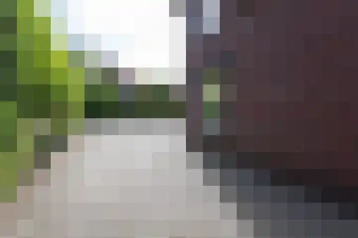 't Slag 18 Westervoort thumbnail 9