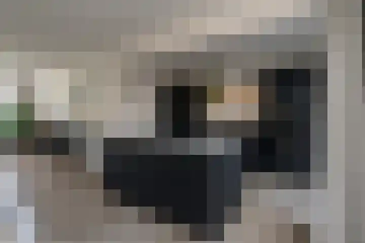 't Slag 29 Bemmel thumbnail 10