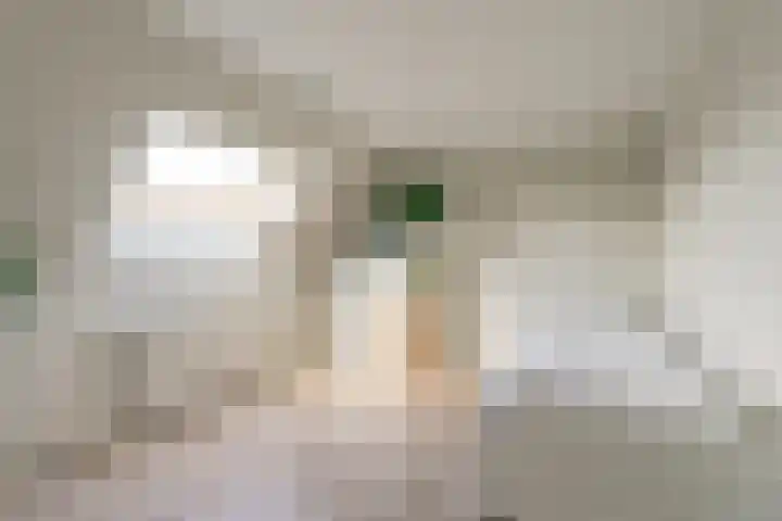 't Slag 29 Bemmel thumbnail 18