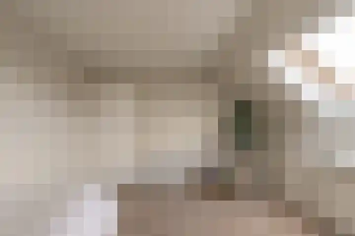 't Slag 29 Bemmel thumbnail 19