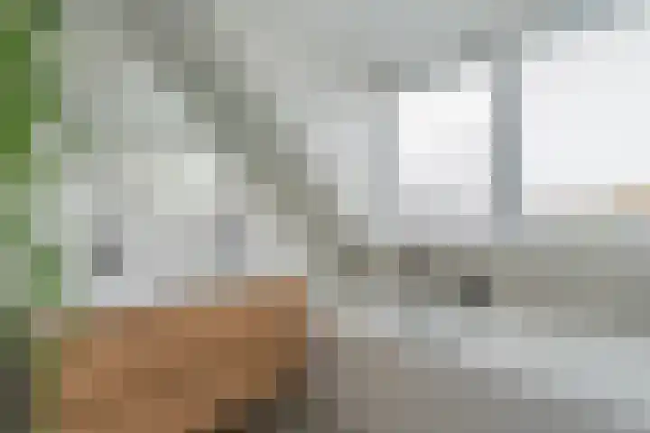 't Slag 29 Bemmel thumbnail 20