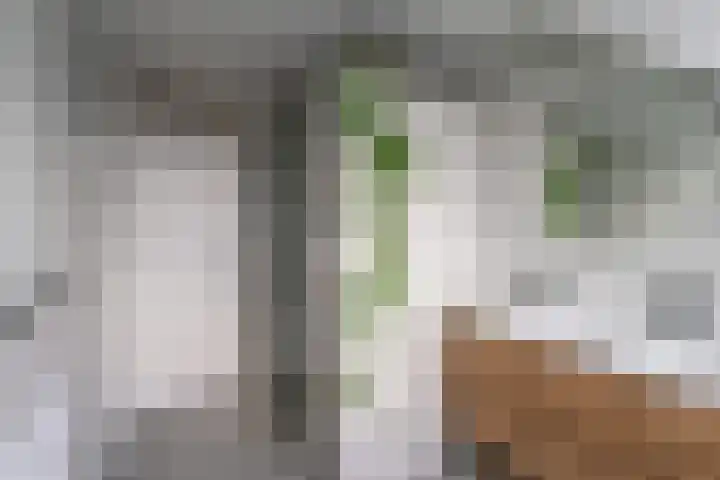 't Slag 29 Bemmel thumbnail 21