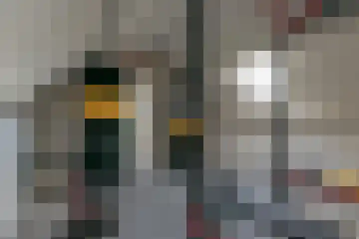 't Slag 29 Bemmel thumbnail 28