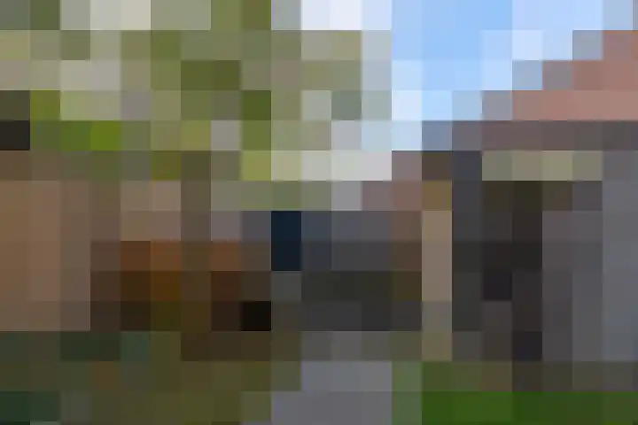 't Slag 29 Bemmel thumbnail 32