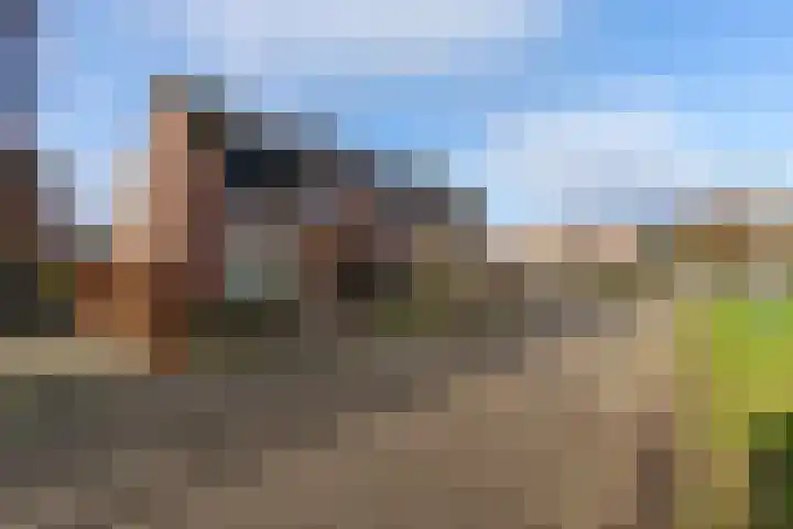 't Slag 29 Bemmel thumbnail 35