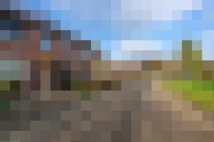 't Slag 29 Bemmel thumbnail 36