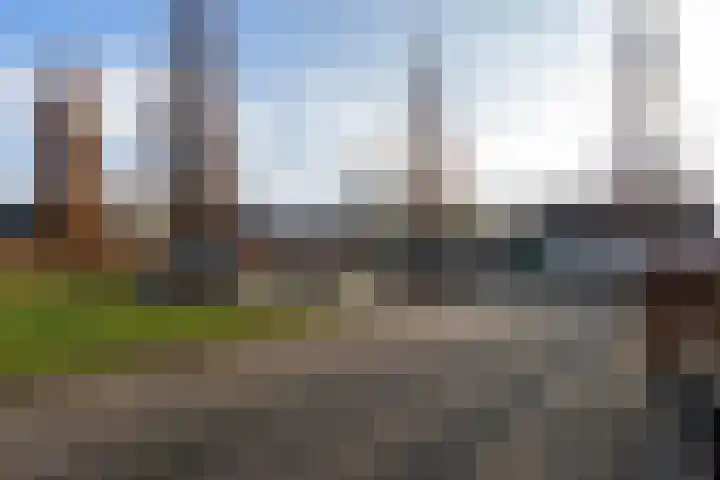 't Slag 29 Bemmel thumbnail 37