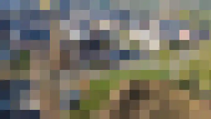 't Slag 29 Bemmel thumbnail 40