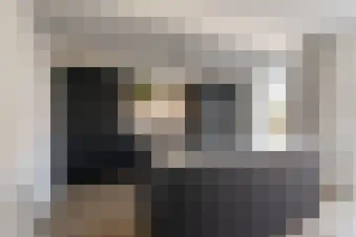 't Slag 29 Bemmel thumbnail 7