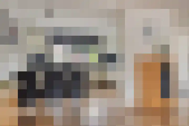 't Slag 3 Bemmel thumbnail 12