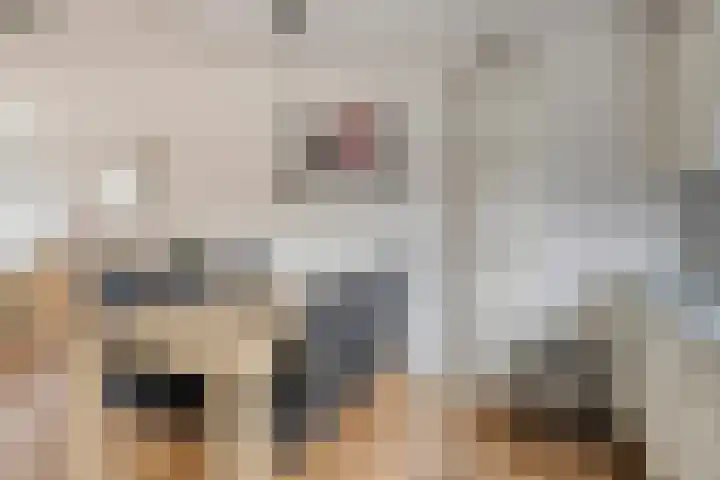 't Slag 3 Bemmel thumbnail 14
