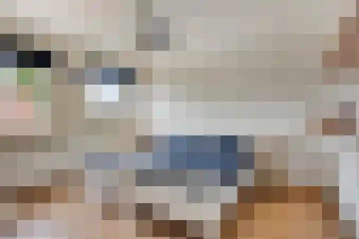 't Slag 3 Bemmel thumbnail 19