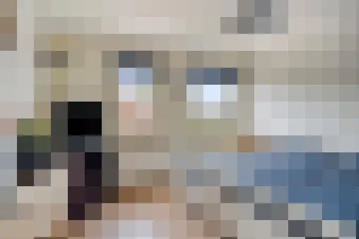 't Slag 3 Bemmel thumbnail 20