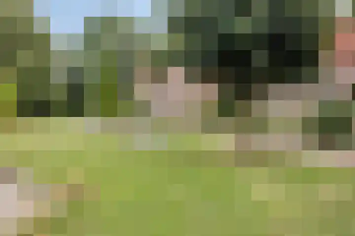 't Slag 3 Bemmel thumbnail 6