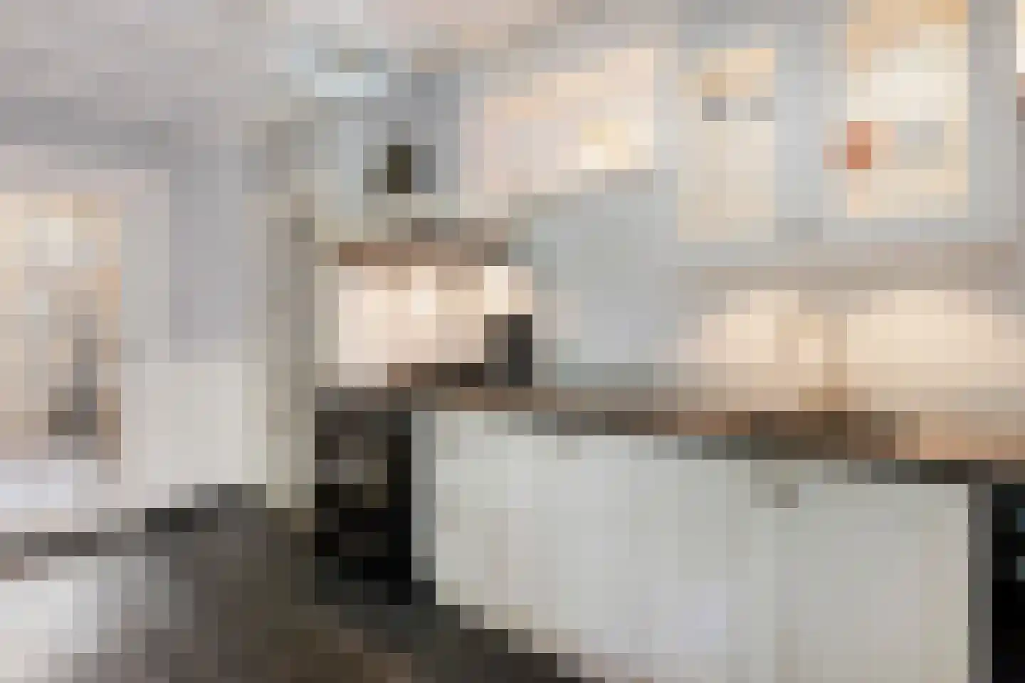 't Slag 4 Westervoort thumbnail 15