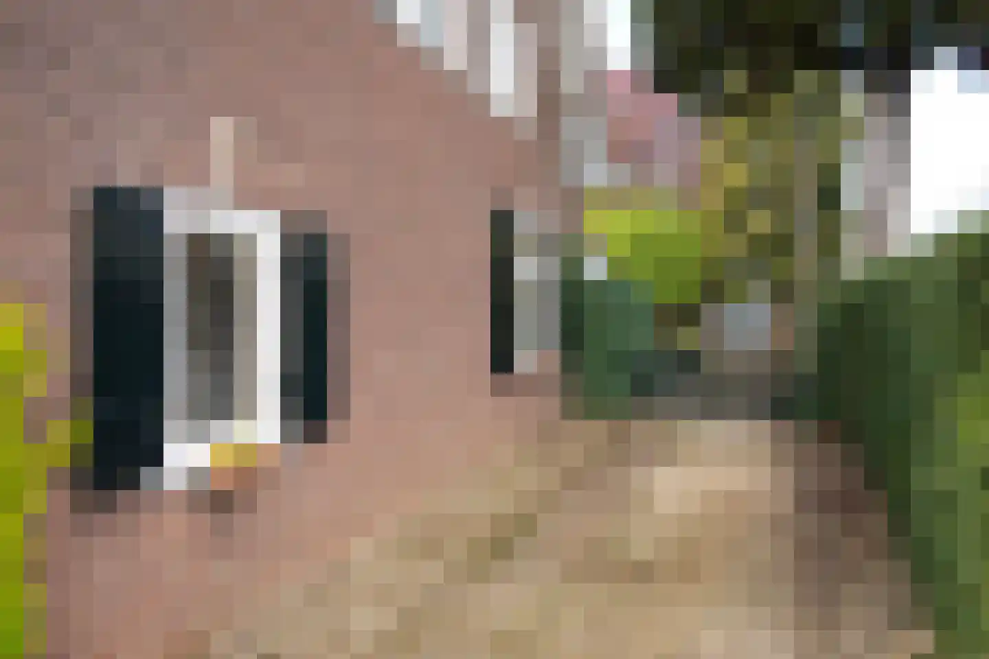 't Slag 4 Westervoort thumbnail 19
