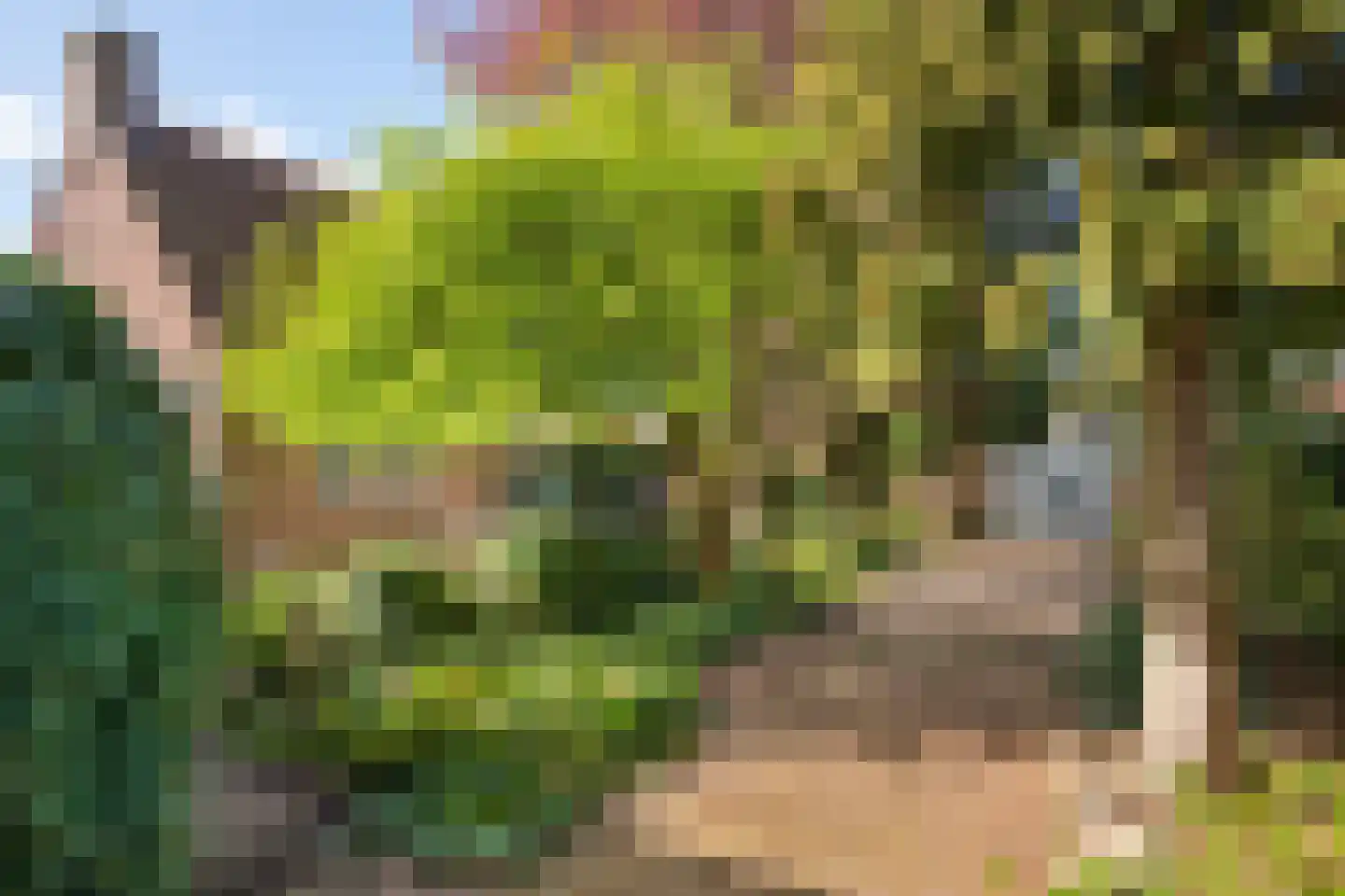 't Slag 4 Westervoort thumbnail 21