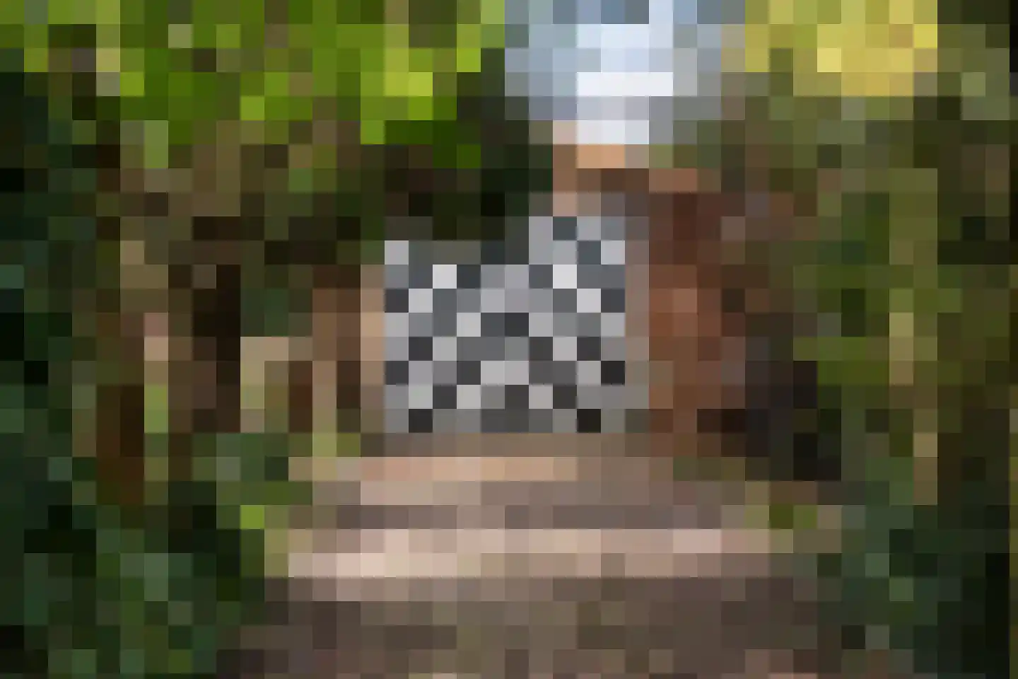 't Slag 4 Westervoort thumbnail 22