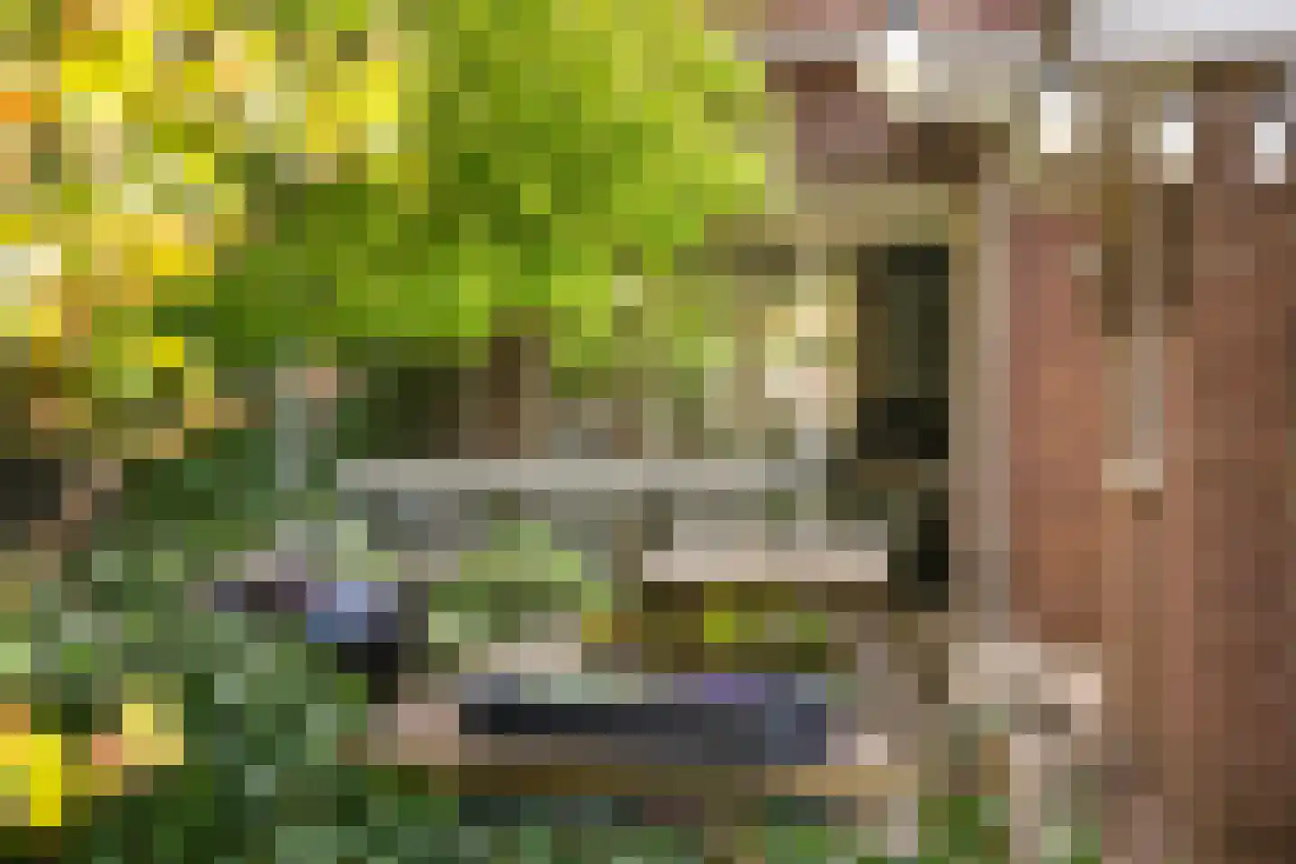 't Slag 4 Westervoort thumbnail 23