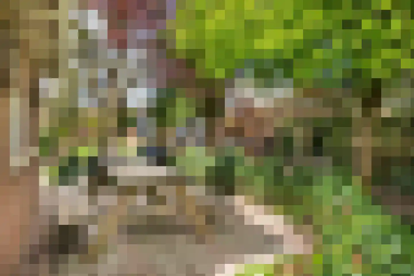 't Slag 4 Westervoort thumbnail 24