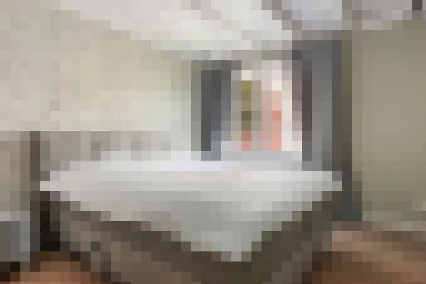't Slag 4 Westervoort thumbnail 31