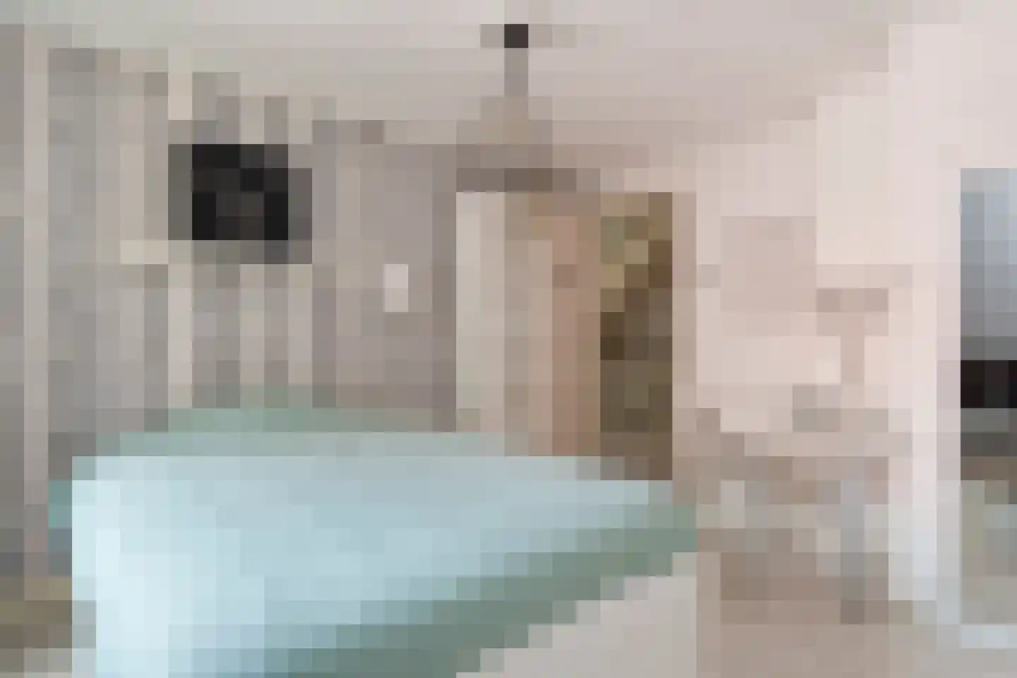 't Slag 4 Westervoort thumbnail 34